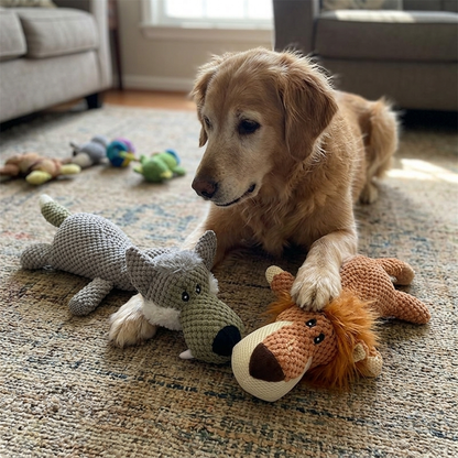 Durable Dog Toy