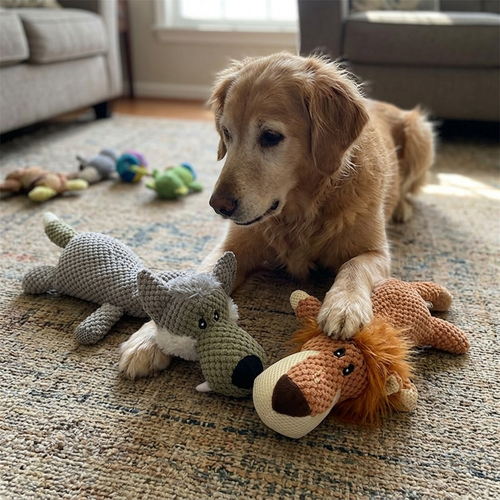 Durable Dog Toy