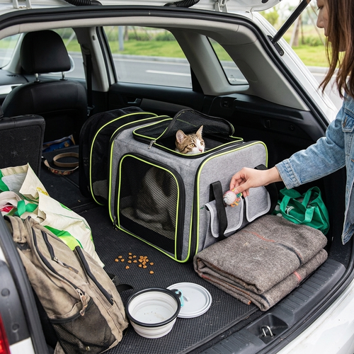 Foldable Pet Carrier Bag