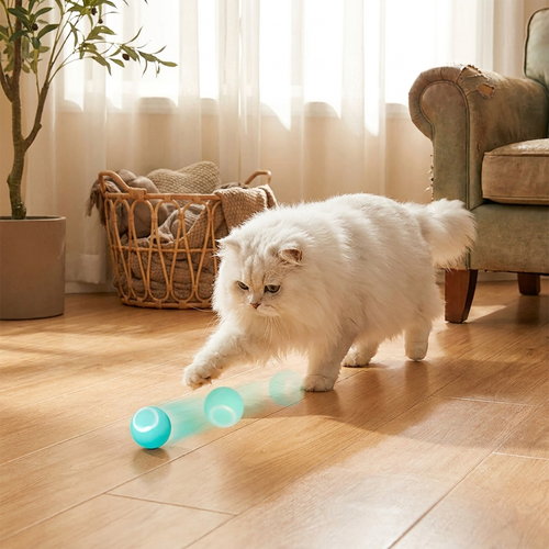 Interactive Pet Ball Rolls Automatically