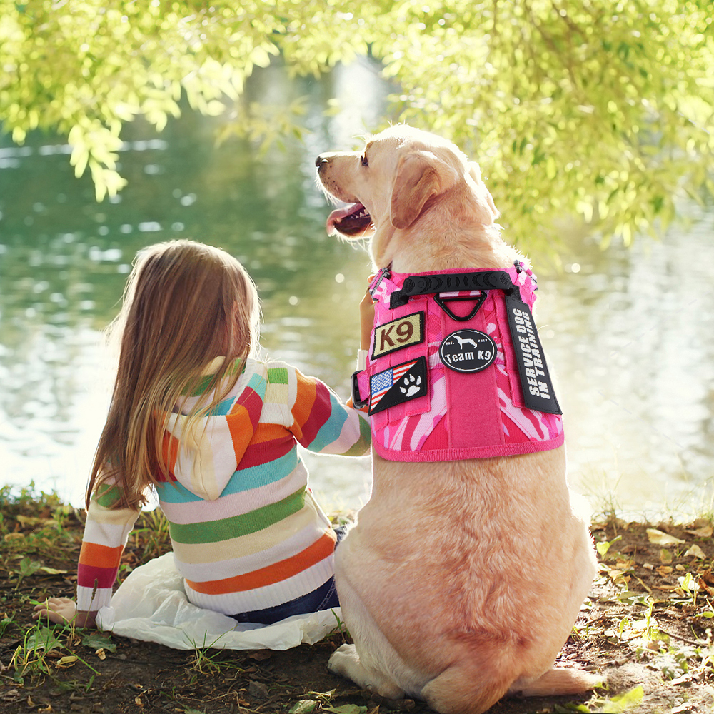 Tactical Dog Harness No-Pull With Front And Back D-Rings...