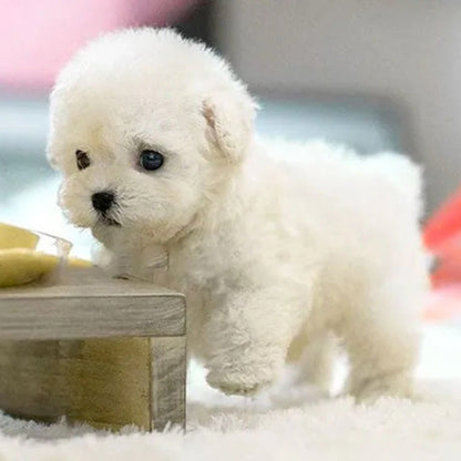Robot Puppy Interactive Toy Realistic Puppy for Kids