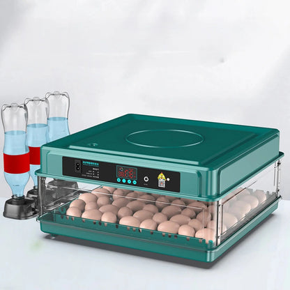 Digital Egg Incubator with Adjustable Tray - EU Plug, Light