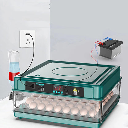 Digital Egg Incubator with Adjustable Tray - EU Plug, Light