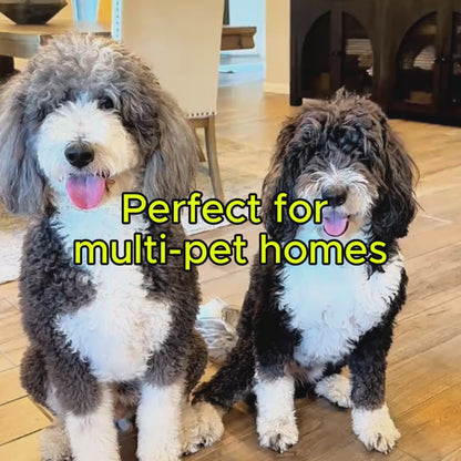 CalmEnergy™ Starter System — High-Energy Enrichment System