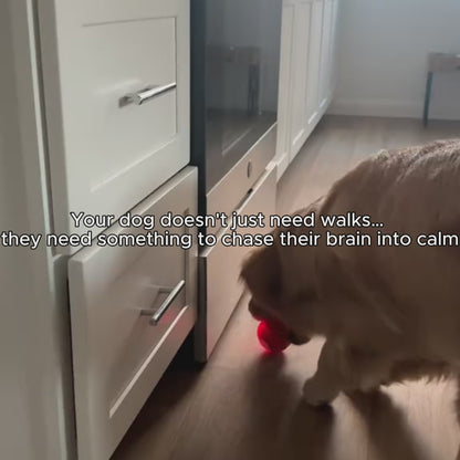 CalmBall™ — Dog Enrichment Ball - Smart Energy Release Toy for Anxious Dogs Mental Stimulation