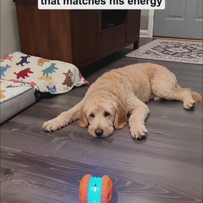 CalmPlay™ — Interactive Dog Enrichment Toy Ball - Anxiety Relief Puzzle