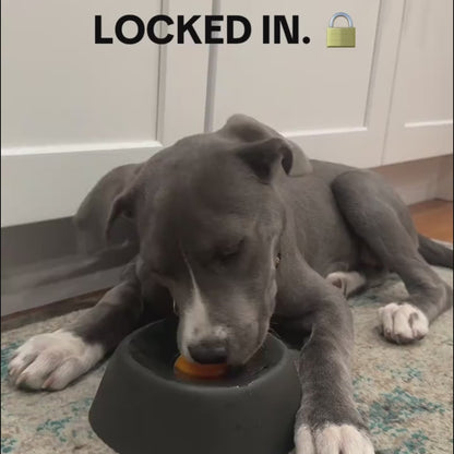 CalmCore™ — Dog Lick Bowl for Enrichment & Anxiety Relief