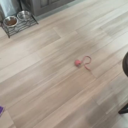 CalmEnergy™ Starter System — High-Energy Enrichment System