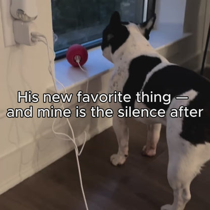 CalmBall™ — Dog Enrichment Ball - Smart Energy Release Toy for Anxious Dogs Mental Stimulation