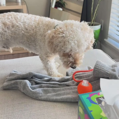 CalmEnergy™ Interactive Chase Ball