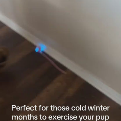 CalmEnergy™ Starter System — High-Energy Enrichment System