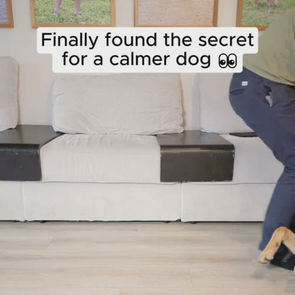 Dog Lick Bowl for Enrichment & Anxiety Relief – CalmCore™