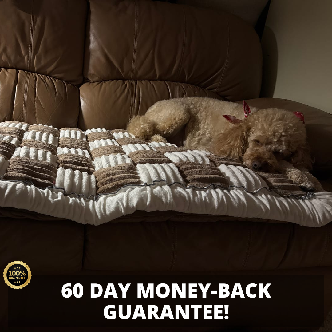 Furniture Protector Thick Orthopedic Padding Couch Cover...